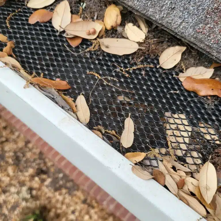 leaf protection service installed in rain gutters in kyle tx